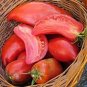 Jersey Devil Tomato 200 Seeds