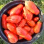 Jersey Devil Tomato 200 Seeds