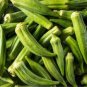 Green Okra Clemsons Spineless Red gumbo Herb Vegetable 200 Seeds