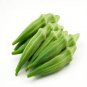 Green Okra Clemsons Spineless Red gumbo Herb Vegetable 200 Seeds
