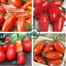 Rare Anhui Red 'Banana' Long Tomato Organic 20 Seeds