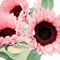 Water Pink Sunflower 80 Seeds
