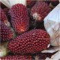New Heirloom Mix Four different varieties of Rare Raspberry 800 Seeds