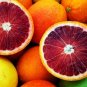 Rare Red Lemon Tree Seeds High Survival Rate Fruit 60 Seeds