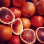 Rare Red Lemon Tree Seeds High Survival Rate Fruit 60 Seeds
