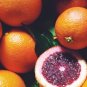 Rare Red Lemon Tree Seeds High Survival Rate Fruit 60 Seeds