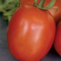 Tomato SuperSauce Hybrid  200 Seeds