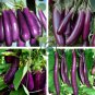 Eggplant Bright Purple Long Vegetables 200 Seeds