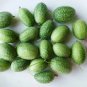 New Rare Green Mini Thumb Organic Watermelon 16 Seeds