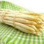 Rare White Asparagus Organic Chinese Vegetable 40 Seeds