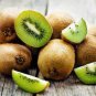 Mini Large Kiwi Fruit Heirloom Chinese Gooseberry Fruit 100 Seeds