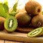 Mini Large Kiwi Fruit Heirloom Chinese Gooseberry Fruit 100 Seeds