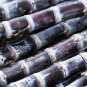 Black Sugarcane Organic Subtropics  200 Seeds