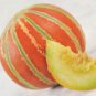 Rare Kajari Sweet Melon Fruit 20 Seeds