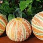 Rare Kajari Sweet Melon Fruit 20 Seeds