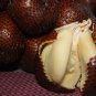 Salak Seed World Snakeskin Fruit  40 Seeds