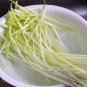 Yellow Chinese Chives 100 Seeds