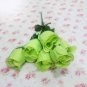 Chinese Green Rose Bush Seedling 100 Seeds