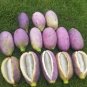 Holboellia latifolia Wall Fruit 40 Seeds