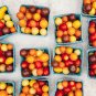 rare imported rainbow tomato 200 Seeds