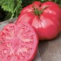High Yield Tomato Big Pink Red Hybrid 20 grams Seeds