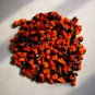 Strelitzia Reginae 200 Seeds
