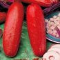 Red Cucumber Cucumis sativus 40 Seeds