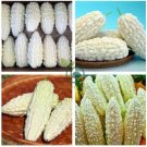 White Balsam Pear  20 Seeds