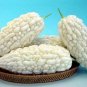 White Balsam Pear  20 Seeds