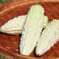 White Balsam Pear  20 Seeds