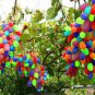 New Rare Rainbow F5 Hybrid Grape Seedling 30 Seeds