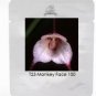 9 Types  Perennial Dracula Simia Monkey Face Flower 200 Seeds