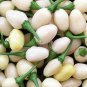 White Habanero Pepper 40 Seeds