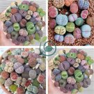 Mix Living Stone Plants 200 Seeds