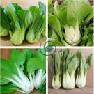 Pak Choi White Stem Chinese Cabbage 400 Seeds
