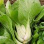 Pak Choi White Stem Chinese Cabbage 400 Seeds