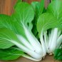 Pak Choi White Stem Chinese Cabbage 400 Seeds