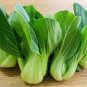 Pak Choi White Stem Chinese Cabbage 400 Seeds