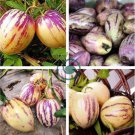 Solanum muricatum Aiton Ginseng Fruit 100 Seeds