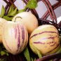 Solanum muricatum Aiton Ginseng Fruit 100 Seeds