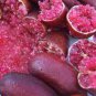 Ice Pink Finger Fruit Lime 40 Seeds
