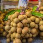 Guanzhou Longan Fruit 10 Seeds