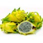 Heirloom Yellow Dragon Fruit Hybrid Pitaya 100 Seeds