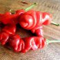 Peter Pepper 400 Seeds