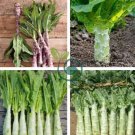 Chinese Green Asparagus Lettuce 60 Seeds