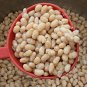 Lot Mini Magic White Bean 200 Seeds