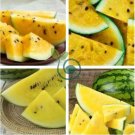Small Yellow Watermelon Sweet Fruit 16 Seeds