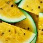 Small Yellow Watermelon Sweet Fruit 16 Seeds