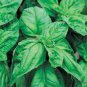 Mammoth Basil 40 Seeds