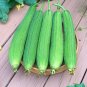 Loofah Giant Thick Climbing Sponge Gourd 16 Seeds
